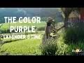 The color purple of lavender. Slow  living in the countryside. how to make a lavender wand DIY