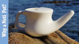 Neti Pot, Why When and How Often?