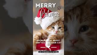 A Merry Cat's Christmas 🐈 🎄| Link in description | #soothingmusic #instrumental  #relaxing