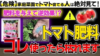 【危険】勘違いしているトマトの間違った肥料の与え方3選と失敗しにくいおすすめの肥料