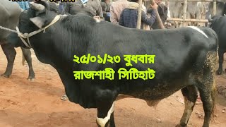 আজ ২৫/০১/২৩ বুধবার। গিরস্তের গরুর দাম। রাজশাহী সিটিহাট। #cityhat