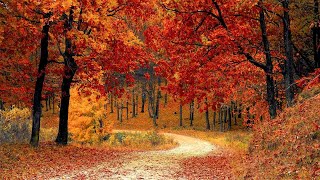 Autumn Sky Meditation Music - Positive Energy and Stress Relief