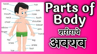 parts of body , body parts , marathi , शरीराचे अवयव