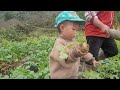 early spring of the new year my mother and i went to plant melons.