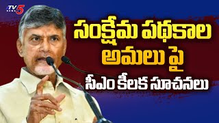 సీఎం కీలక సూచనలు...CM Chandrababu Key INstructions To Officials Over Welfare Schemes | TV5 News