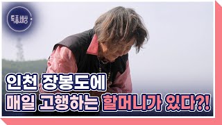 인천 장봉도에 매일 고행하는 할머니가 있다?! MBN 230824 방송