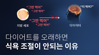 요요현상의 원인은 이 호르몬입니다 (핵심은 마지막에)