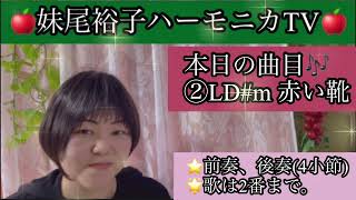 356【ﾊｰﾓﾆｶの調子】7赤い靴『②LD#m』短調(マイナー) 編12本紹介① LDm②L#D③Em④Fm⑤F#m⑥Gm⑦G#m⑧Am⑨A#m⑩Bm⑪Cm⑫C#m