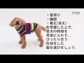 ドッグウェアの基本サイズを知ろう・愛犬のお洋服