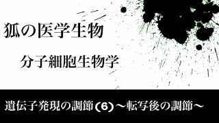 分子細胞生物学43 遺伝子発現の調節(6)〜転写後の調節〜