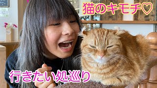 【猫カフェ】に潜入★猫のキモチになってみた