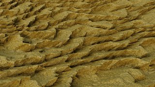 Blender Tutorial - Texture node based mesh