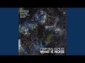 Temporal Echoes