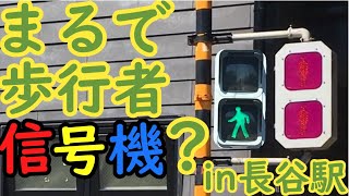 【江ノ電】まるで歩行者信号機？？　変な踏切　その2　長谷駅　（信号機型踏切）