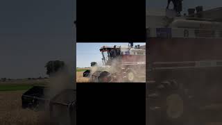 Harvesting Excellence: FIAT Combine Harvester in Action