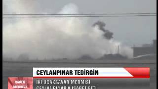 CEYLANPINAR TEDİRGİN