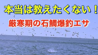 ［石鯛釣り］　厳寒期の石鯛爆釣エサ⁉︎の作り方大公開！その餌の名は？