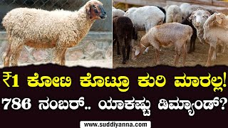 ಕೋಟಿ ಕುರಿಯ ಕಥೆ! | Rajasthan | Rs 1 crore | Lamb | Eid | Muslims | 786 | Suddiyaana