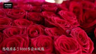 陈晓陈妍希巴黎塞纳河游船求婚的秘密花絮