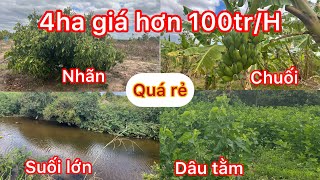 Cần nhượng lại lô đất đen pha có thể trồng cà phê được cần gấp