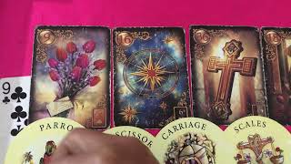 48 giờ tới của Bạn có gì vui Niềm Hạnh Phúc nào sẽ đến với Bạn-Phương Nga Tarot