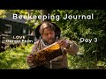 Gorgie Farm - Beekeeping - Journal Day 3