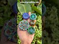 sacredgeometry orgone orgonite crystalgrids mandalaart floweroflife merkaba treeoflife