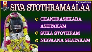 POWERFUL SIVAN MANTHRAS \u0026 SLOGAS | चन्द्रसेकर अष्टकम | SIVAN DEVOTIONAL SONG | SIVAN  BAKTHIPAADAL