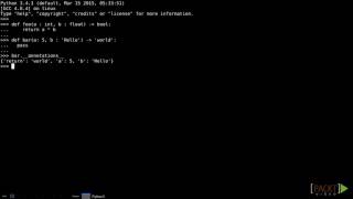 028 using function annotations
