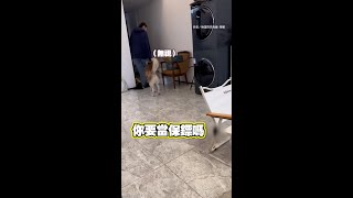 【二哈保鑣】老婆懷孕哈士奇變小跟班XD 看都不看老爸一眼｜#寵物雲 #shorts