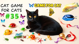 CAT GAMES | Keep Your Cat Happy and Healthy with Fun Episode 35 | 8HOURS 🐝🐞🦋🦎🦜