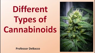 Different Types of Cannabinoids