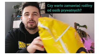 UNBOXING #3 rośliny z listy chciejstw. Moje pierwsze wrażenie 🤔