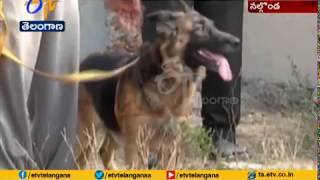 Canine Cops Out Standing Performance | In Catching Criminals | Nalgonda