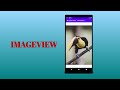 Android Studio ImageView tutorial  Working with ImageViews in Android