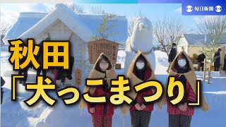 「犬っこまつり」　3年ぶり開催　愛犬の健康願う　秋田