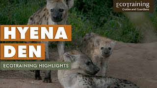 EcoTraining Highlights: Hyena Den | April 2021