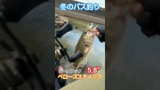 ベローズスティック5.8”はデカイから信じて投げれなかったけど、釣れるんですね🤔