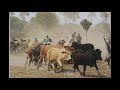 Lubono, Mashombe blue jeans, Tonga music