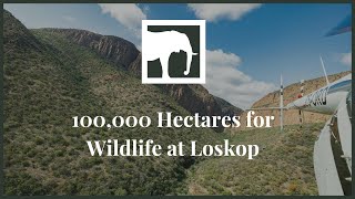 Loskop Rewilding and Expansion