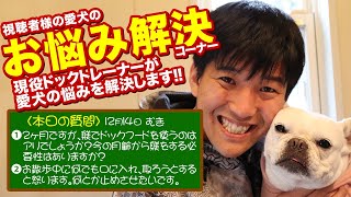 【愛犬のお悩み解決コーナー】2ヶ月ですが、躾でドックフードを使うのはアリでしょうか？今の月齢から躾をする必 要性はありますか？お散歩中に何でも口に入れ取ろうとする と怒ります。何とか止めさせたいです。