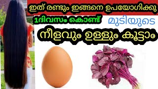 ചീരയും മുട്ടയും ഇങ്ങനെ ഉപയോഗിച്ച് നോക്കു കൊഴിച്ചിൽ മാറി തഴച്ചു വളരും  Double Hairgrowth Hair Pack