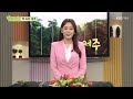 책 속의 제주 제주 당신을 만나다 kbs제주 220214방송