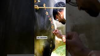 Gamada Kaurava Bull Decoration Photoshoot Horihabba | ಗಾಮದ ಕೌರವ ಹೋರಿ ಡೆಕೋರೇಷನ್ ಹೋರಿಹಬ್ಬ