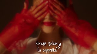 Ariana Grande - true story (a cappella) (Sped-Up)