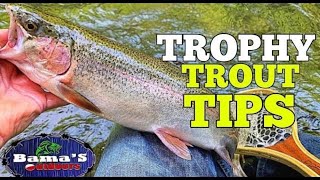 HOW TO CATCH TROPHY RIVER TROUT| TIP, STRATEGIES AND TECHNIQUES| 4K