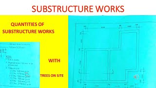 TAKING OFF SUBSTRUCTURE WORKS WITH TREES ON SITE/MEASUREMENTS