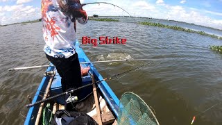 Carp Fishing in Cambodia ||​វាត់ត្រីកាបនៅបឹងតាមោក វាត់ឡើងវៀចផ្លោកអស់ហើយ