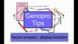 Using Genopro display 1