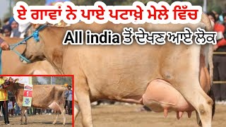 jersey/Hf/murrha/all breed compitition in Jagraon 15th pdfa fair/जगराओं पशु मेला 2021